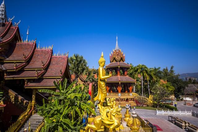 25℃冬天什么概念？这个地方告诉你：羽绒服滞销！