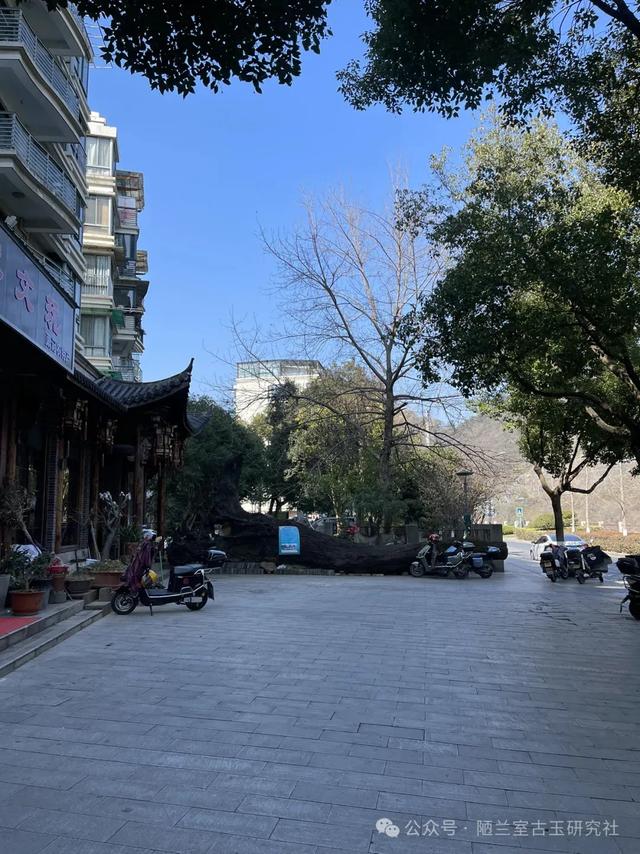 高古玉（第一百一十八·桐庐县）横扫杭州多县，滋味妙不可言。