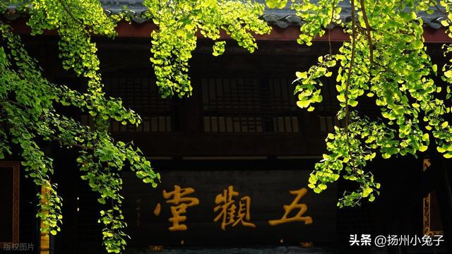 五观堂里，我看到了“大如须弥山”的一粒米