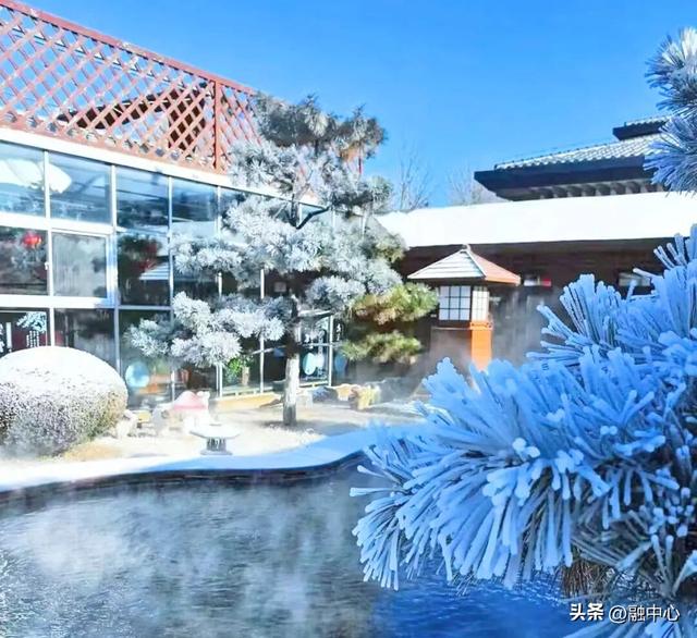 东北独特暖冬秘境曝光：3000家温泉民宿与康养套餐齐聚！