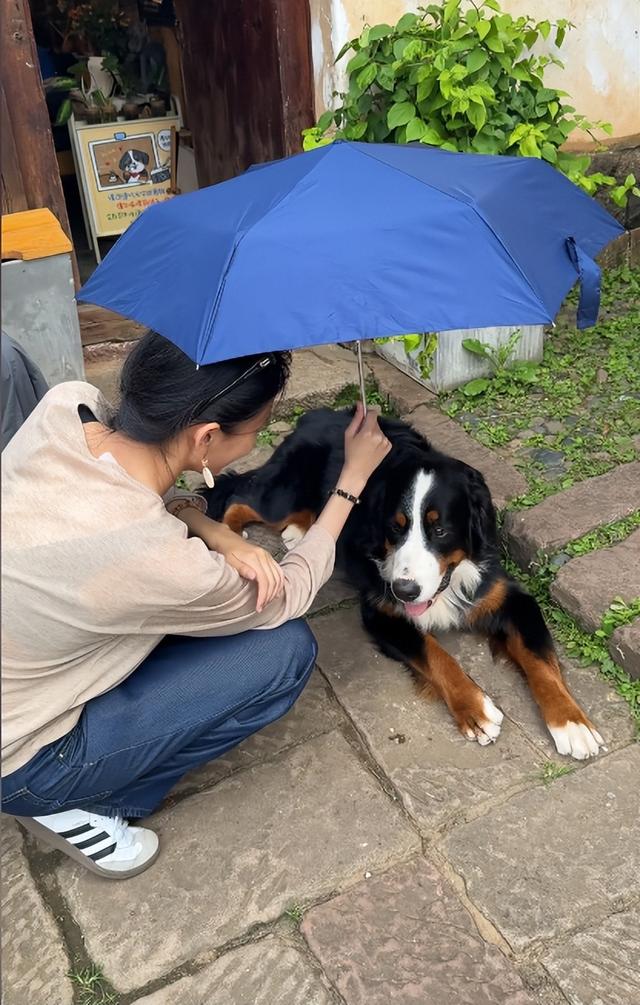 房子斌一家游大理，杨雨婷脸肿馒化严重，18岁女儿大学曝光太优秀