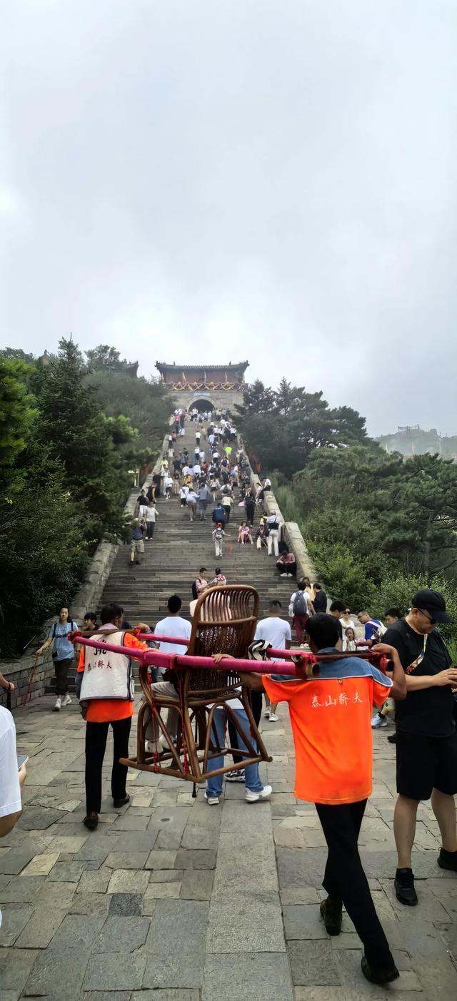 岱宗夫如何：看山不只是山