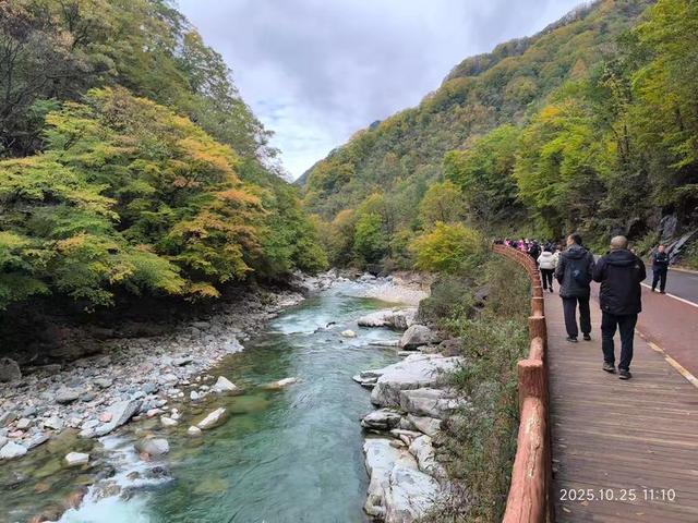 排队游览光雾山