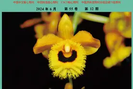 “肺与大肠相表里”视角下探索肠道菌群与肺癌因果关联图片