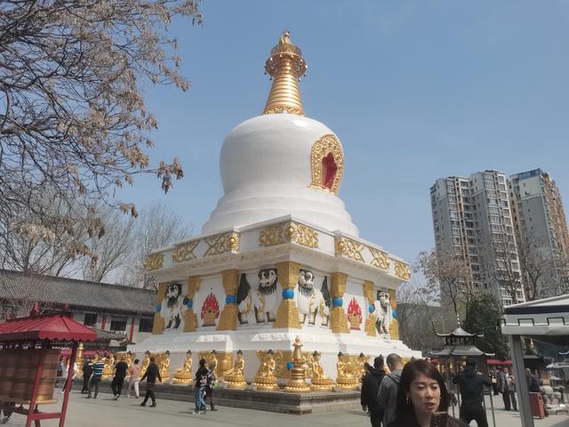 六问沈阳北塔公园空灵花海景点为何无花只有荒草