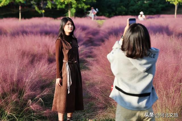 【遇见运河】沧州市：大运河畔秋景如画