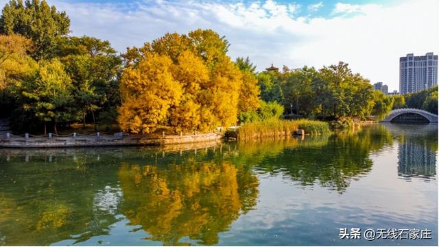 一叶知秋！2025年石家庄市城区赏秋指南来啦 这些地方别错过