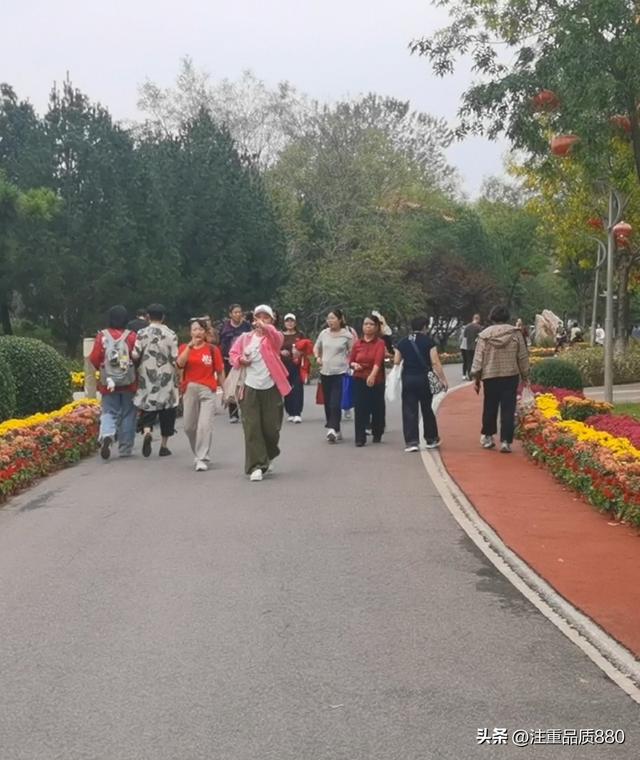 今年唐山南湖菊展从规模到品种在我印象中是多年来的第一次