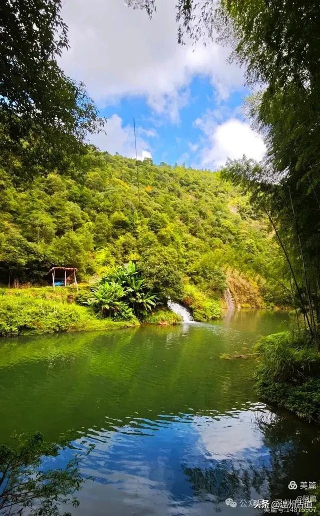隐藏在温州深山幽谷的绿野仙踪,免费开放,知道的人却极少!