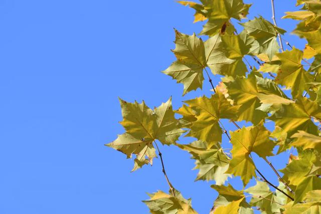 余庆的初冬，就藏在这些地方！