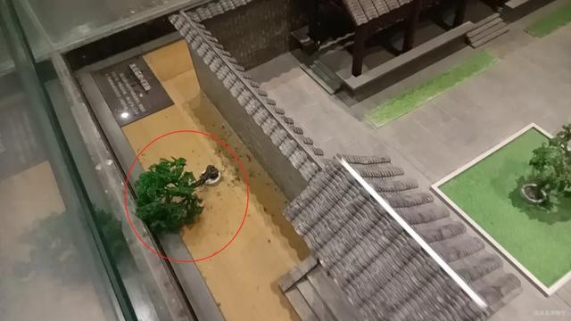 多名孩子闯进博物馆禁区，家长在旁鼓励：拍张照！