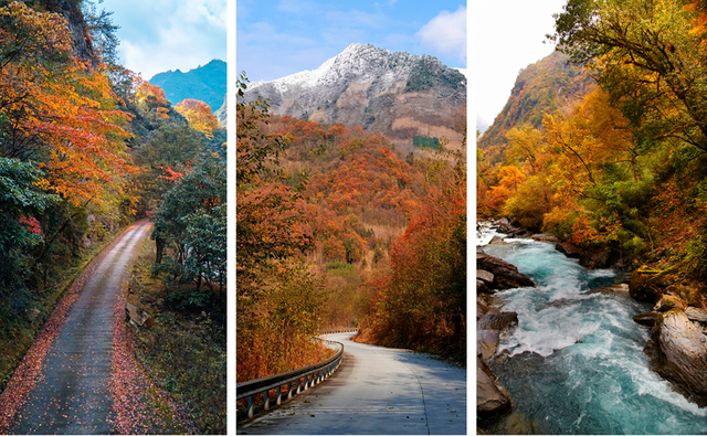 走不出这画了，我已被平武的彩林迷倒！