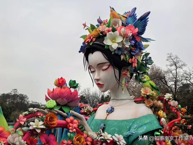 当整个南京都在追光，我在白鹭洲等一场灯与影的相逢