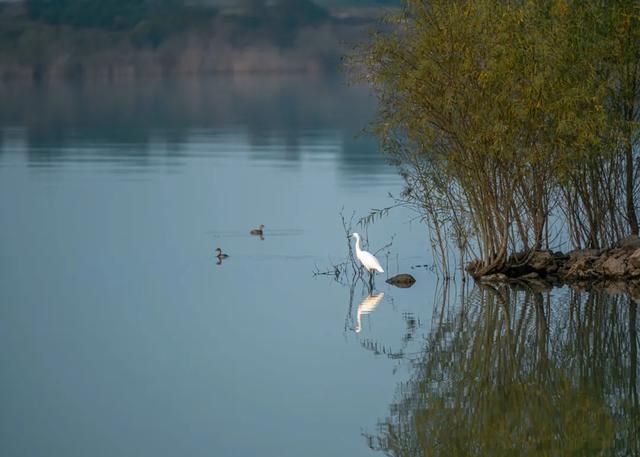 @明光人，来女山湖罗咀，当一天“闲云野鹤”