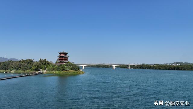 广西融安：冬日融江生态美