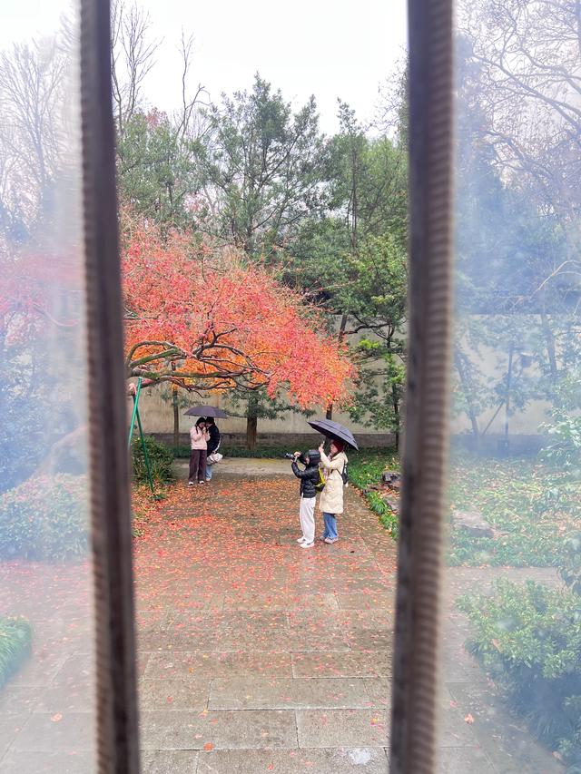 杭州红叶季：桂花之后百花杀，旖旎红叶胜百花。