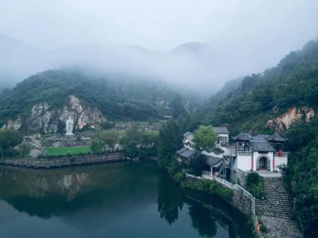 济南这片“会呼吸的森林”真的不太一样，趁暑假结束前快来一趟吧！