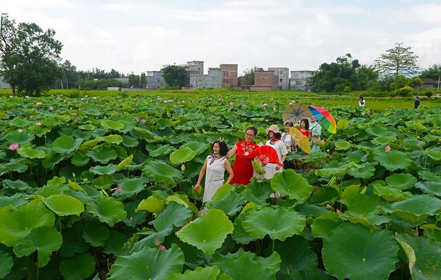 怀集的四季!带你回顾,带你深入