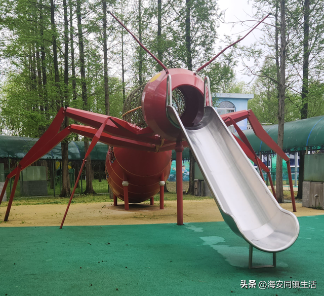2025年海安云上森林超大规模网红粉黛花海+花海鹿群