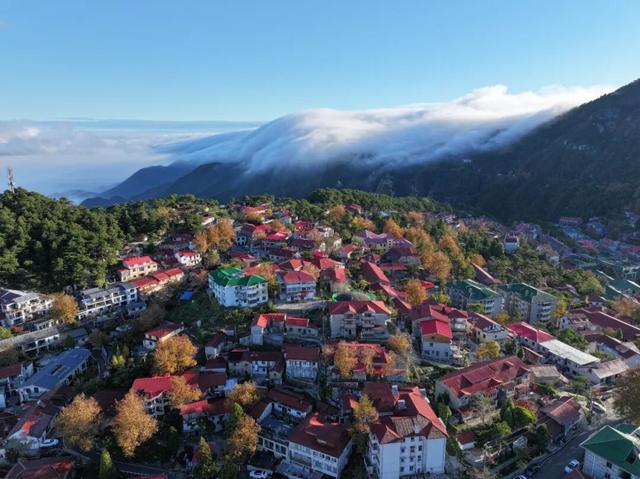 云瀑倾泻梧叶黄：庐山秋景缤纷奇