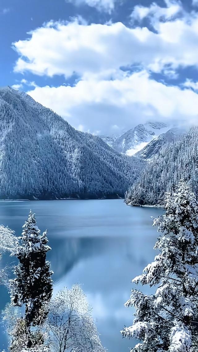 冻住的仙境！九寨沟一下雪，就美成了神仙不敢认的模样