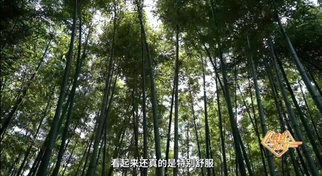 上海市中心又一公园将24小时开放！坐落于外滩和城隍庙之间，宝藏机位藏不住了