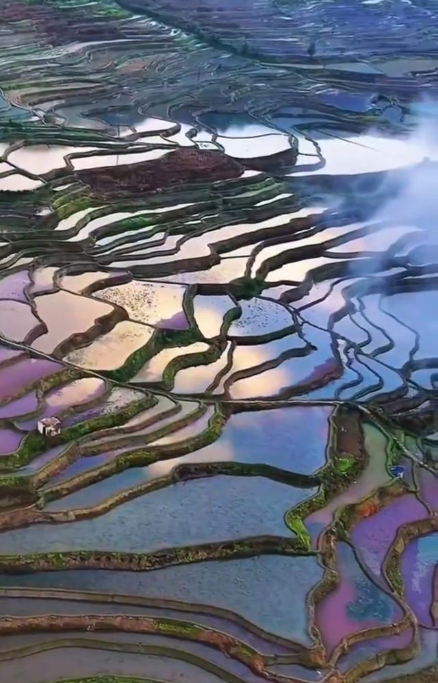 镜映千年元阳哈尼梯田