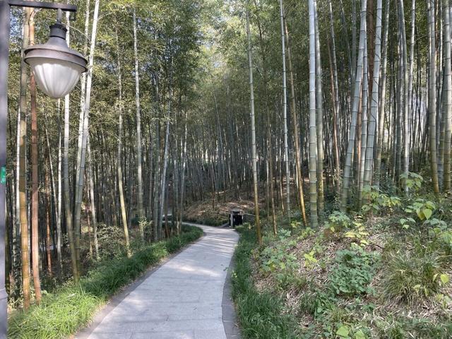 骑游仪征龙山森林公园、六合长江渔村