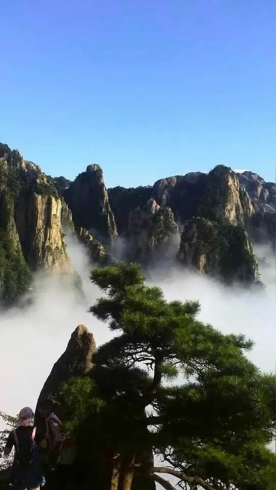 手机壁纸精美图片（98）