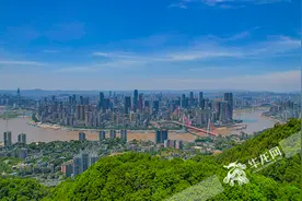 “成渝CP”谱新篇！重庆2024年上半年推动“双圈”建设成果发布图片