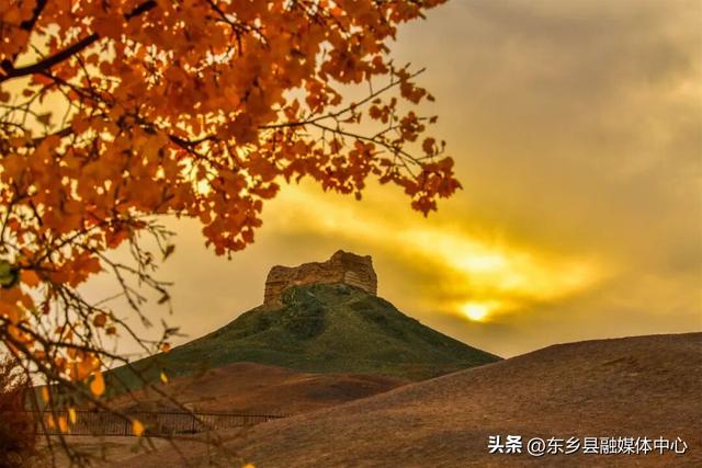 胡杨：边塞秋景里的绚烂