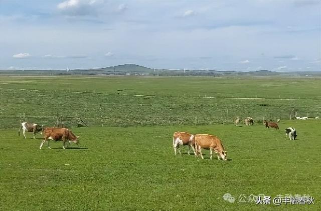 辽阔的乌兰布统草原｜ 李芳