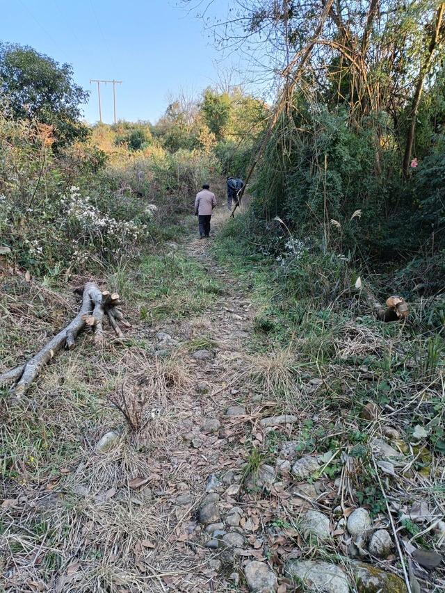 红七军走过的路：从全州龙水桥渡到全州镇大喜塘与枫木山走过的路