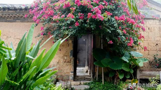 建水民宿:庭院里的“十四五”答卷