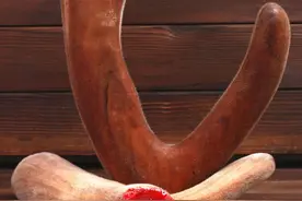 吃鹿茸对身体有哪些好处？医生：鹿茸对这5类人群最有益！图片