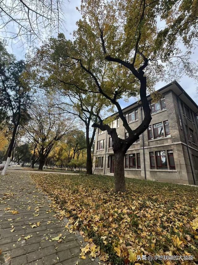 俺那天进齐鲁大学里面来了一场时空旅行（山东大学趵突泉校区）