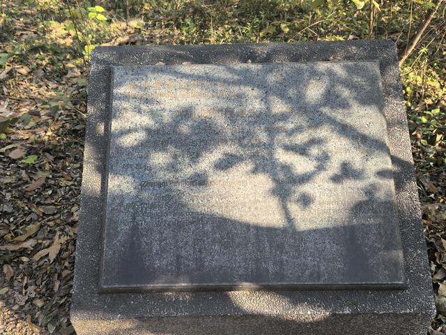 南京紫金山郊野徒步