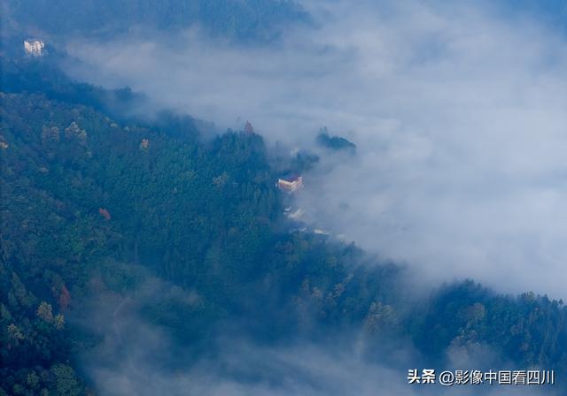 四川雅安：碧峰峡风光旖旎引客来