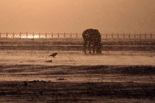 为了这道光，我做了一次疯狂的行动