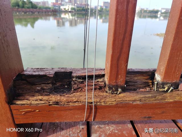 全国文明城市柘城县国家湿地公园榕湖斥巨资升级的人行栈道现状