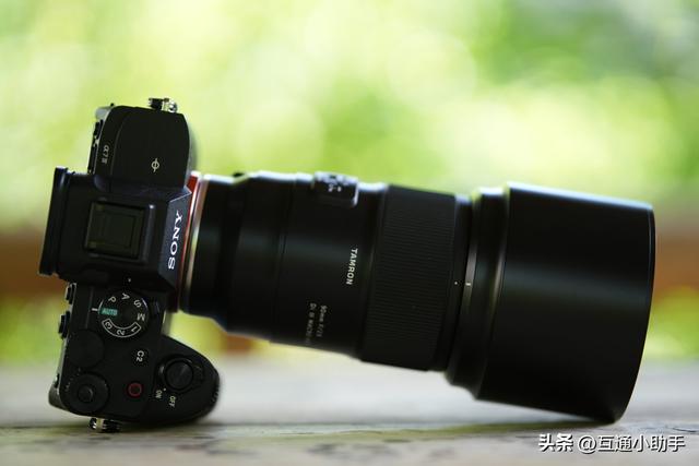 腾龙 90mm F/2.8 Di III MACRO VXD 上手使用体验