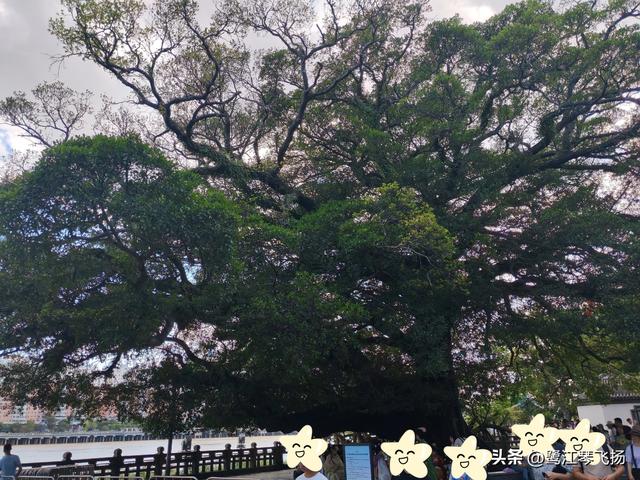 2025国庆第三天温州游：（一）江心屿