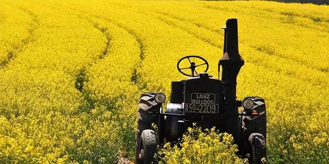 菲开首枪后，第2个攻击中国阅兵的国家出现，5万吨油菜籽白买了？