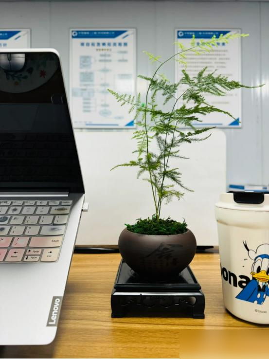 阴花不能进阳宅，家里若有这5种花，请赶紧“搬出去”！