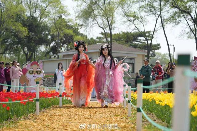 师恩如诗，秋日邀约丨沈阳东陵、北陵公园，期待与您漫步秋光