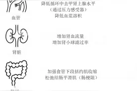口服升压药物米多君在危重症患者中的应用图片