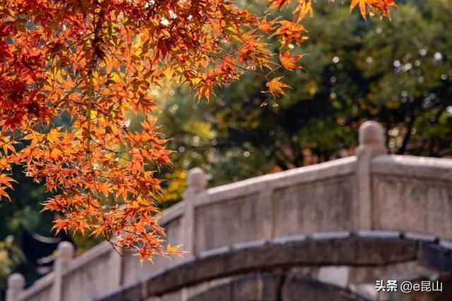 久等了！红透啦！