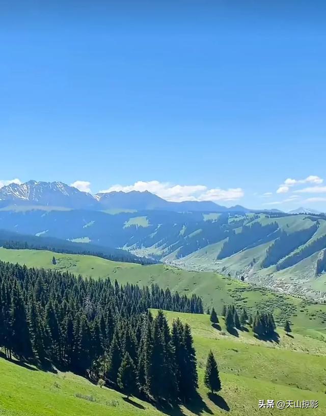 南山南