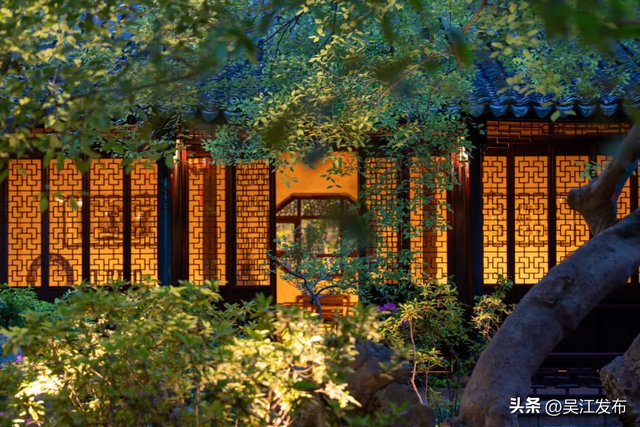 避开热浪！吴江的夏夜还可以这样玩→