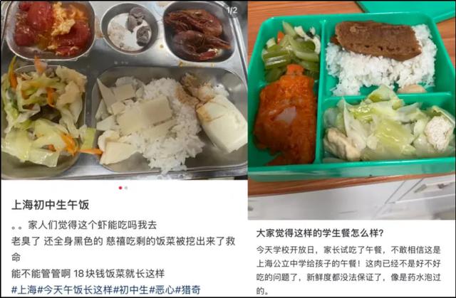 年轻人捧火了河南“预制菜之王”